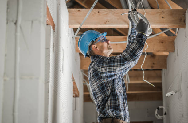 Best Electric Panel Repair  in Boaz, AL